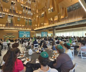 Mega Shabbat Hosts 300 Students at The University of South Florida’s Honors College